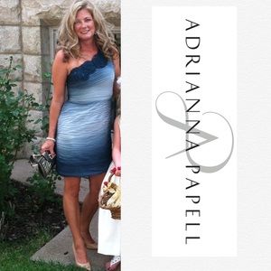 Stunning Adrianna Papell Dress